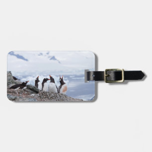 Penguins in Antarctica landscape Luggage Tag