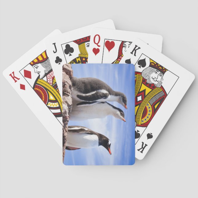 Penguins in Antarctica Playing Cards (Back)