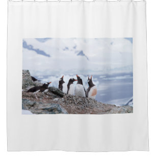 Penguins in Antarctica Shower Curtain