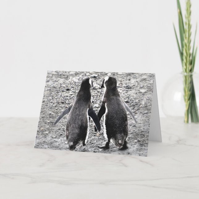 Penguins in Love Card (Front)
