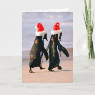 Penguins in Santa Hats on the Beach Holiday Card
