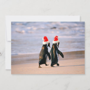 Penguins in Santa Hats on the Beach Holiday Card
