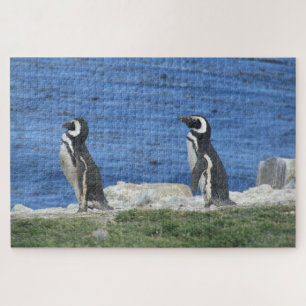 penguins jigsaw puzzle