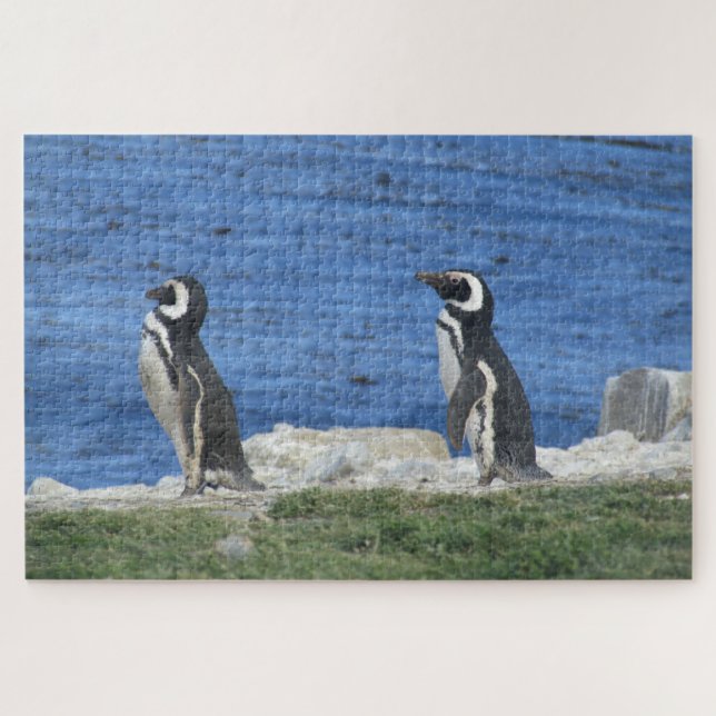 penguins jigsaw puzzle (Horizontal)