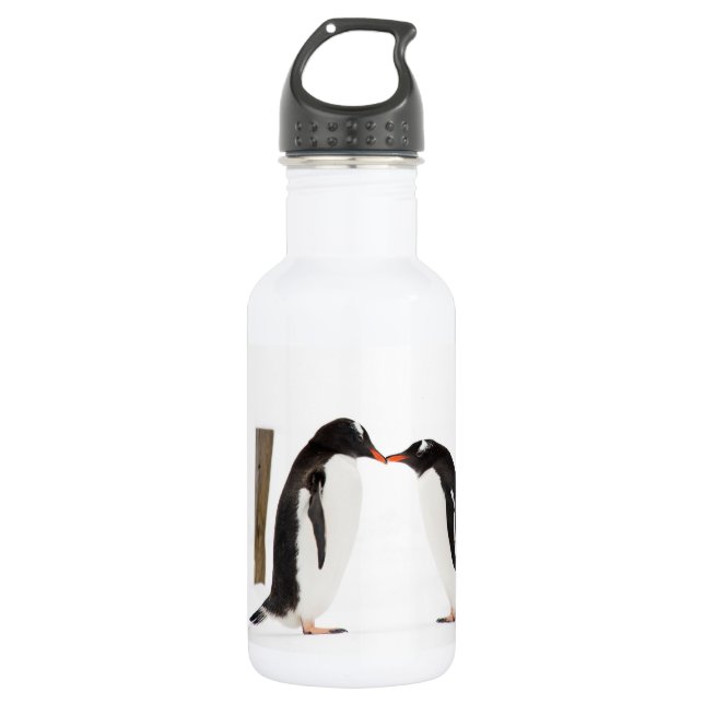 Penguins Kissing - water bottle (Front)