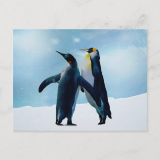 Penguins Live and let live Postcard