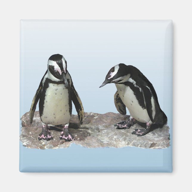 Penguins Magnet (Front)