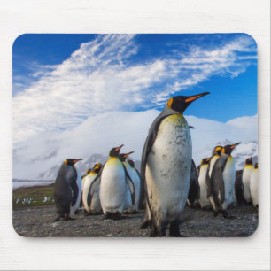 Penguins Marching Blue Sky Mouse Pad