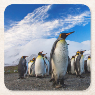 Penguins Marching Blue Sky Square Paper Coaster