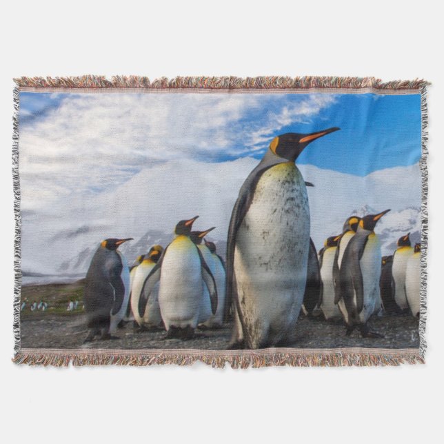 Penguins Marching Blue Sky Throw Blanket (Front)