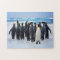 Penguins Marching to Ocean Jigsaw Puzzle