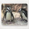 Penguins