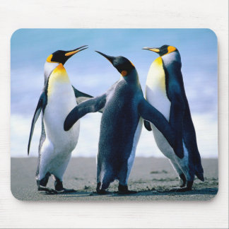 Penguins Mouse Pad
