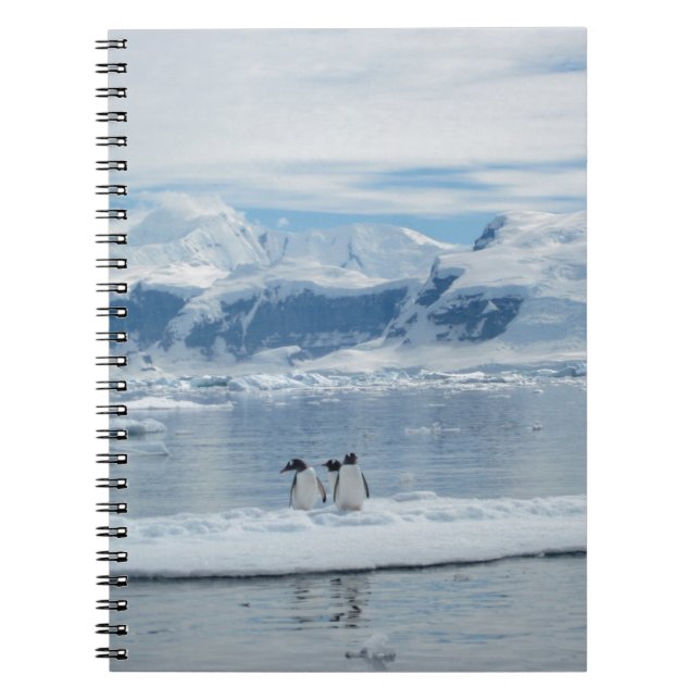 Penguins on an iceberg notebook (Front)