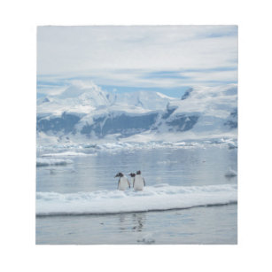 Penguins on an iceberg notepad