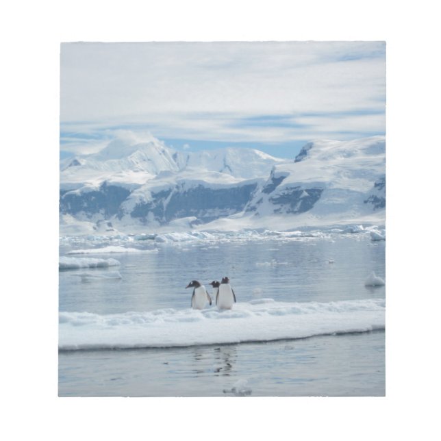 Penguins on an iceberg notepad (Front)