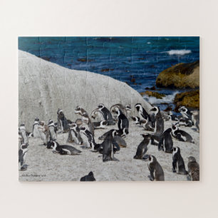 Penguins on Boulders Bay Jigsaw Puzzle