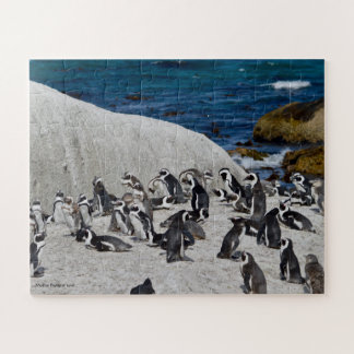 Penguins on Boulders Bay Jigsaw Puzzle