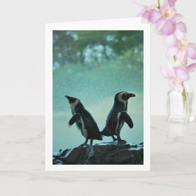 Penguins on Rock Portrait Card (Orchid)