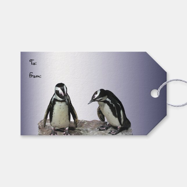 Penguins Pack of Gift Tags (Front (Horizontal))