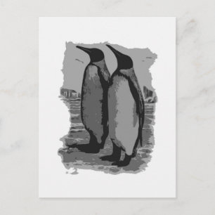 Penguins Postcard