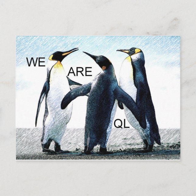 penguins postcard (Front)