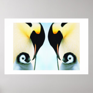 PENGUINS POSTER
