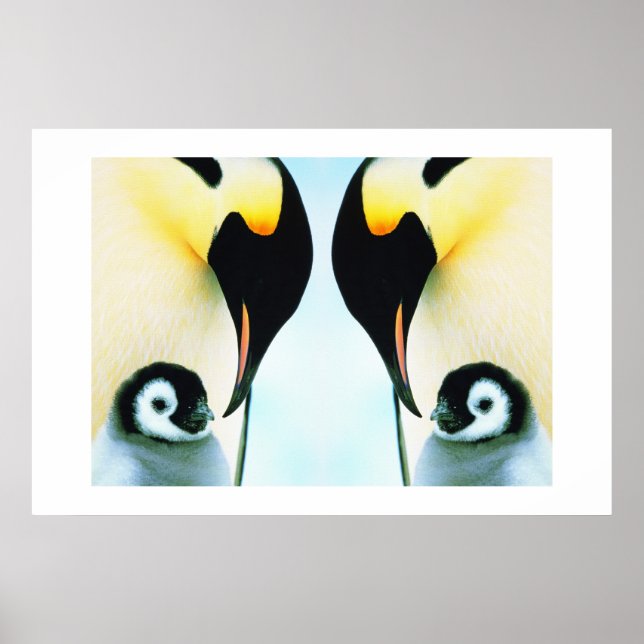PENGUINS POSTER (Front)