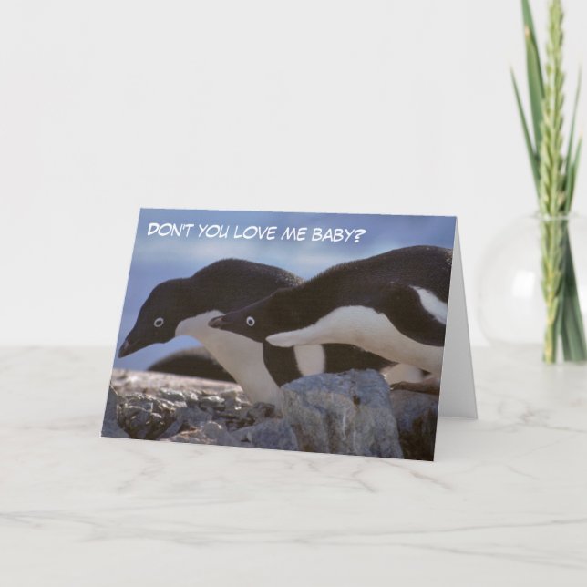 Penguins Valentine's Day Greetings Card (Front)