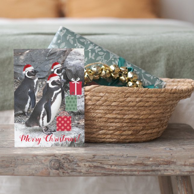 Penguins Wearing Red Santa Hats Funny Holiday Card (In Situ)