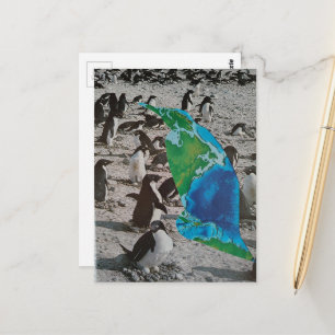 Penguins wildlife collage postcard