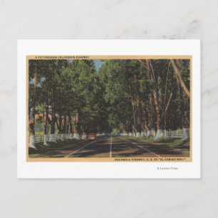Peninsula Highway US 101 El Camino Real View Postcard