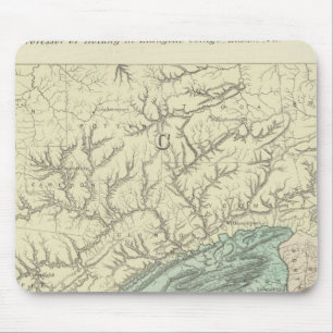 Penn flora mouse pad