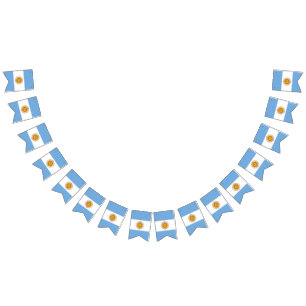 Pennant: Argentina Flag