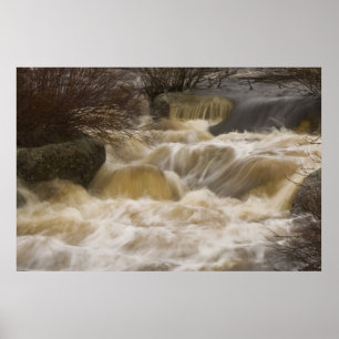 Pennant Brook fine art print