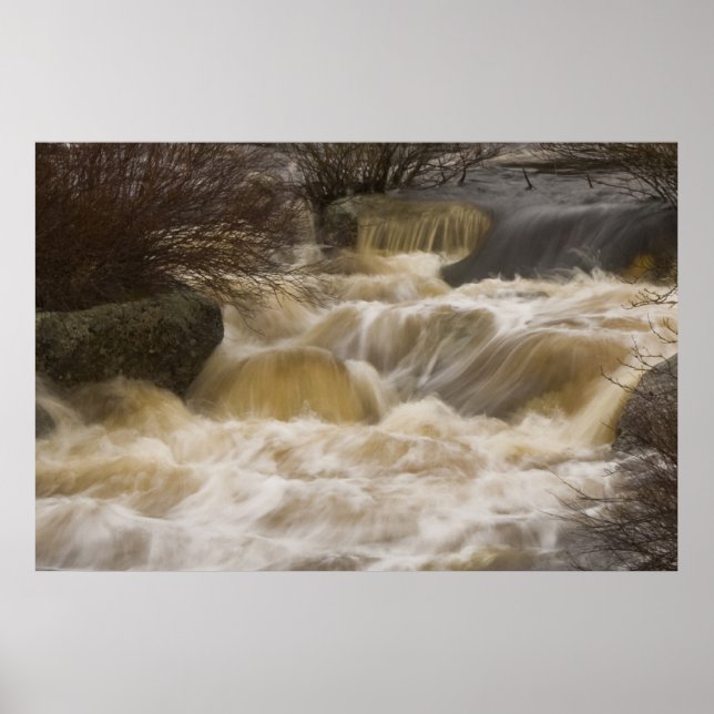 Pennant Brook fine art print (Front)