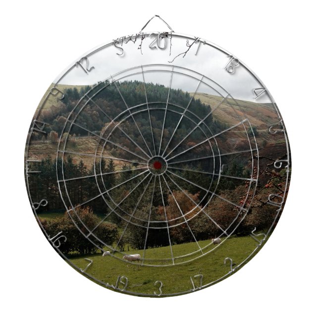 Pennant Valley Wales Dartboard (Front)