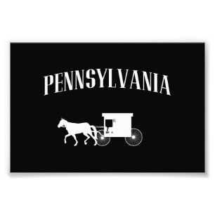 Pennsylvania Amish Carriage Photo Print