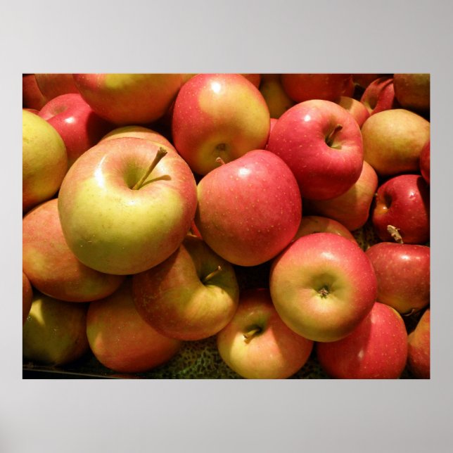 Pennsylvania Apples Poster, 30.67" X 23" Poster (Front)