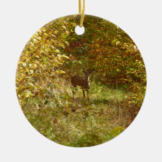 Pennsylvania Deer in Fall Nature Ceramic Ornament (Front)