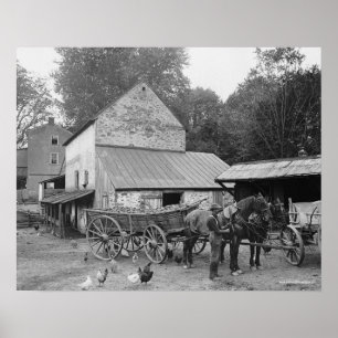 Pennsylvania Farm, 1906. Vintage Photo Poster
