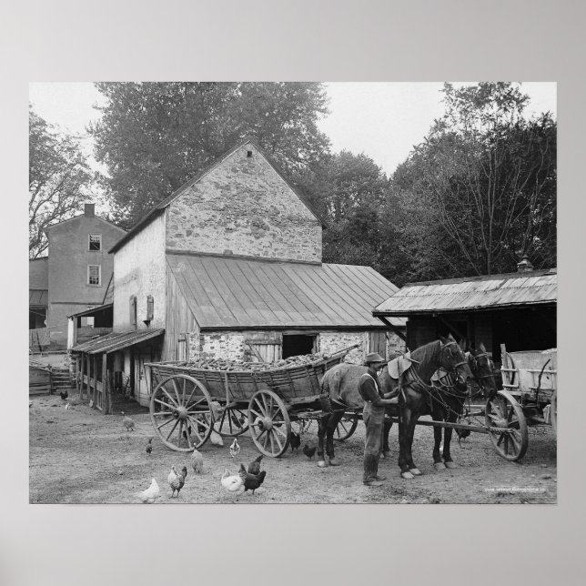 Pennsylvania Farm, 1906. Vintage Photo Poster (Front)