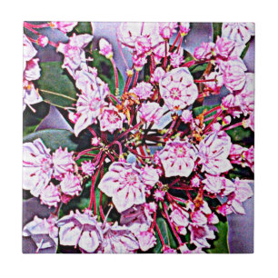 Pennsylvania Mountain Laurel Ceramic Tile