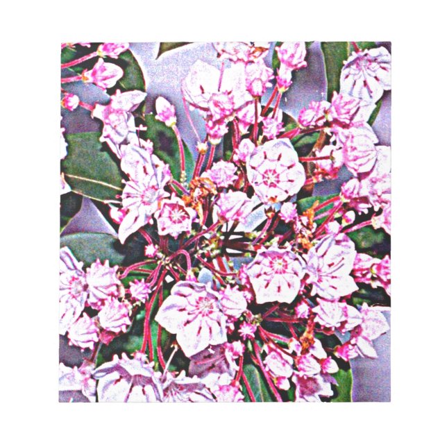 Pennsylvania Mountain Laurel Notepad (Front)
