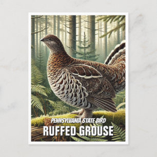Pennsylvania State Bird Ruffed Grouse Postcard