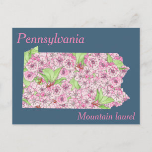 Pennsylvania State Flower Collage Map Postcard
