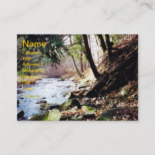 Pennsylvania Stream 02 Business Card