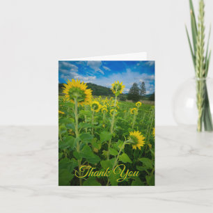 "Pennsylvania Sunflower Field" Card
