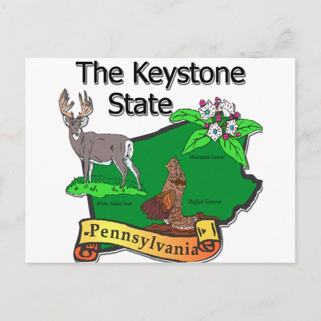 Pennsylvania The Keystone State Bird Deer Flower Postcard (Front)