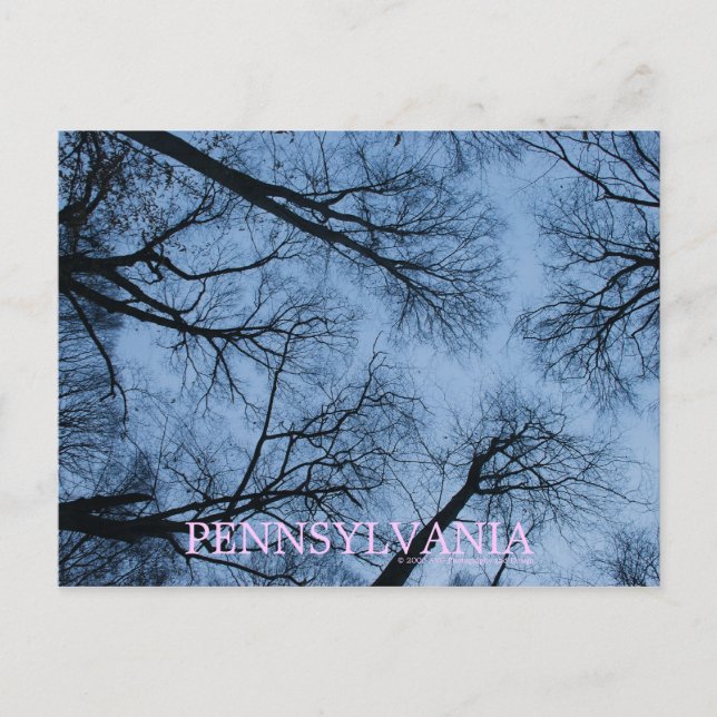 Pennsylvania Touching the Skies Postcard (Front)